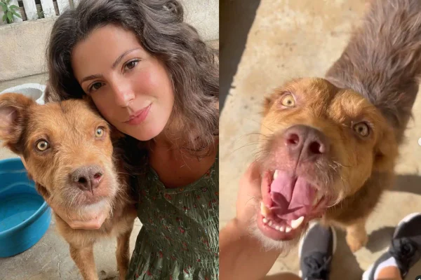 Montagem de duas imagens coloridas do cachorro Teobaldo com Marina