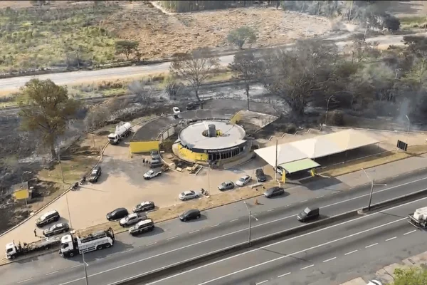 Imagem colorida de uma área de mata queimada próxima à base da PRF; local foi atingido por incêndio - Metrópoles