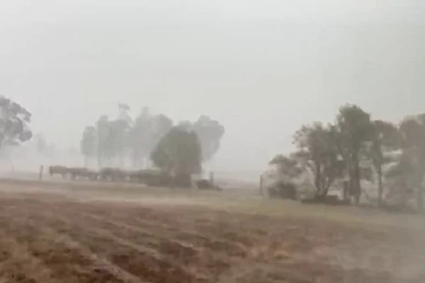 Sobe para 29 total de mortos em incêndios na Austrália