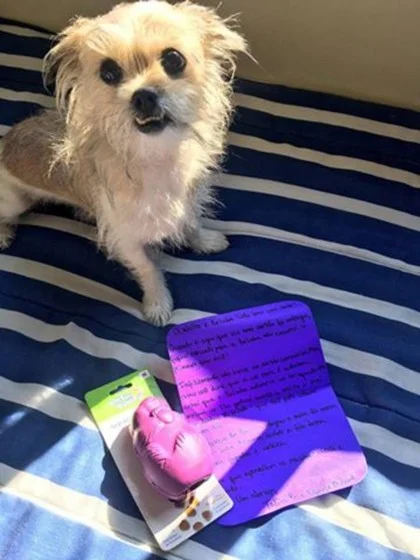 Cachorra come cartão do dono, ele pede um novo e recebe uma surpresa