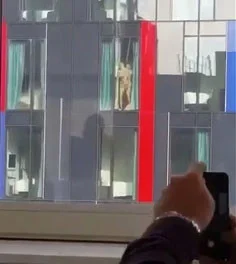 Casal é pego fazendo sexo oral em shopping do DF