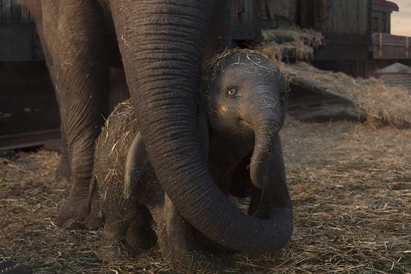 O que esperar de Dumbo, mais nova produção de Tim Burton para Disney
