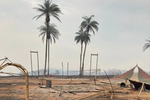 Foto colorida de área rural em Altinópolis (SP) atingida por incêndio florestal durante uma festa rave - Metrópoles