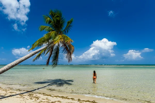Black friday: pacote completo para Boipeba, na Bahia, sai por R$ 599