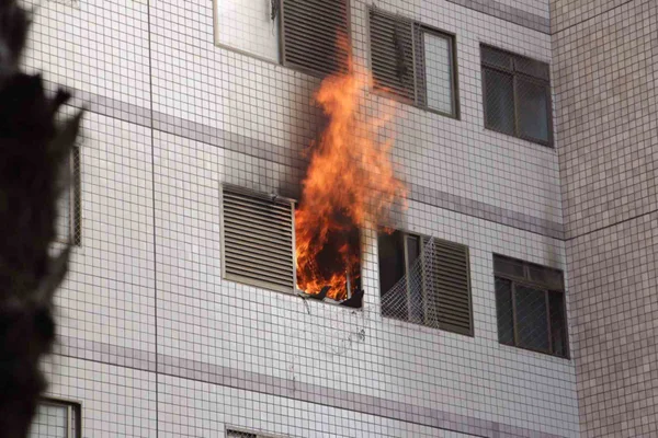 Incêndio atinge apartamento na Asa Norte neste sábado; veja fotos