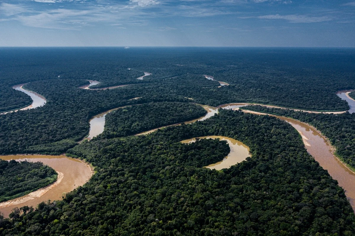 Certificado de Carbono Pode Acabar com Vida Tradicional de Comunidades Indígenas no Brasil