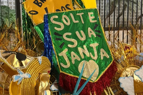 foto de fantasia da escola de samba que homenageia lula no rio de janeiro