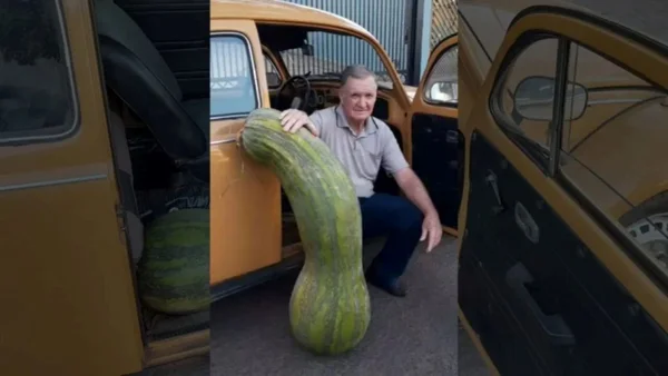 Imagem colorida de agricultor ao lado de abobrinha gigante - Metrópoles