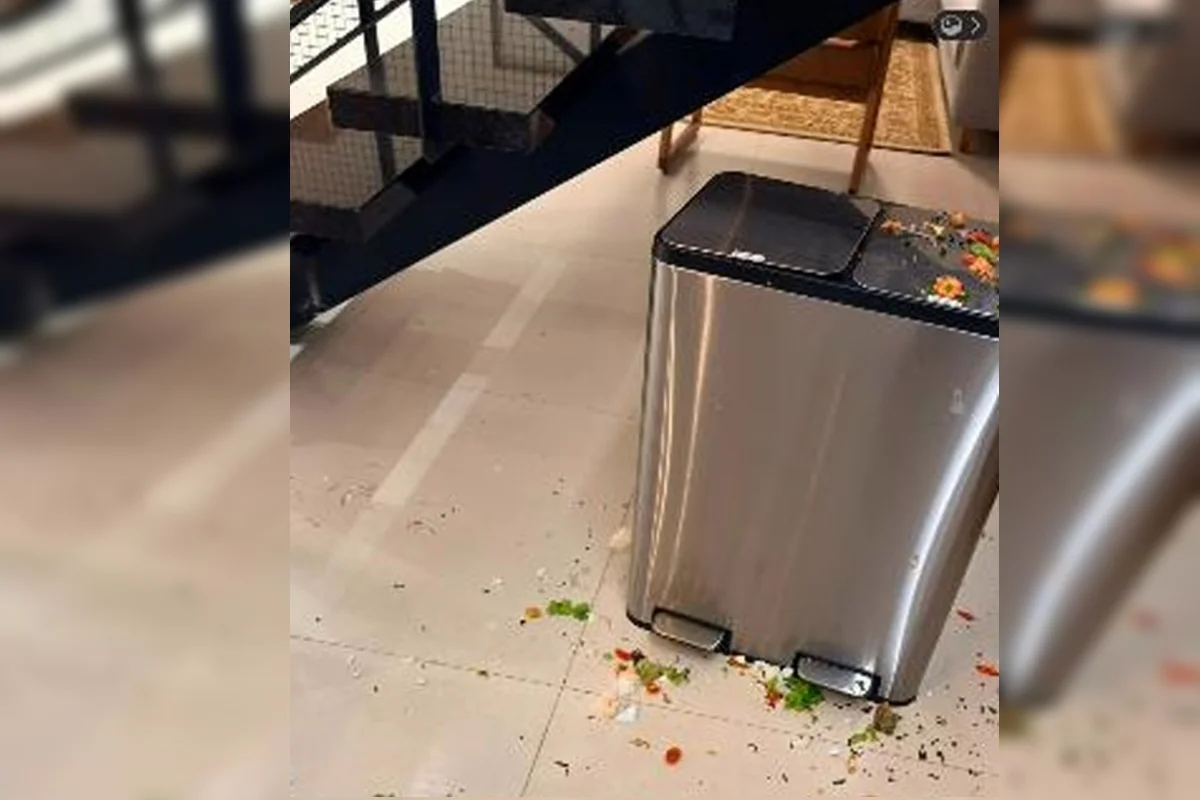 Foto que mostra a comida jogada fora pelo advogado Foto que mostra a comida jogada fora pelo advogado