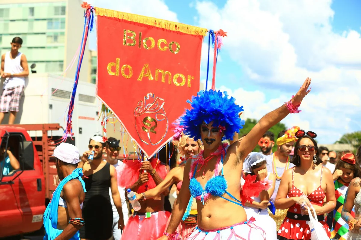 Foliões tomam as ruas de Brasília no segundo dia de carnaval - imagem 3 Foliões tomam as ruas de Brasília no segundo dia de carnaval - imagem 3