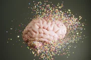 O consumo do chá ativa a circulação cerebral, conforme explica a nutricionista 