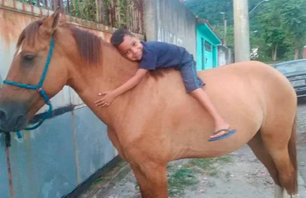 Ladrão devolve cavalo após família divulgar sofrimento de menino