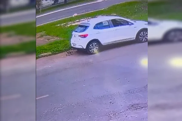 Cena revoltante: mulher abandona filhote de gato e o atropela ao fugir