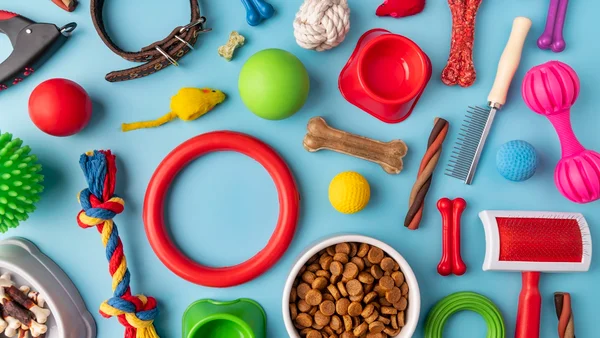 Foto colorida de diversos itens e brinquedos voltados para cachorros