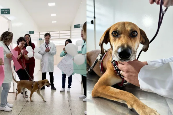 Imagem cedida ao Metrópoles