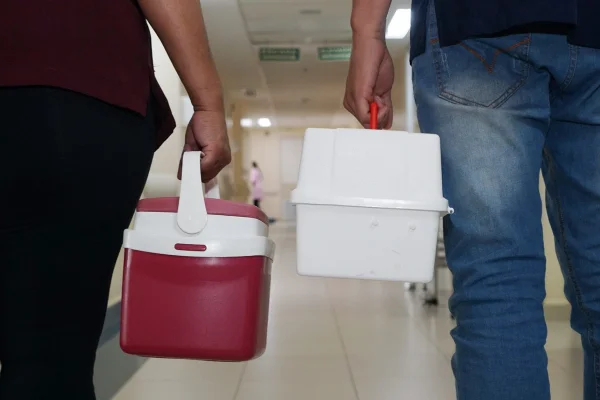 Número de transplantes de órgãos no DF bate recorde em 2024