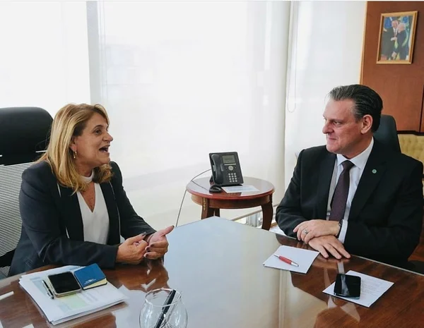 Silvia Massrhurá, presidente da Embrapa