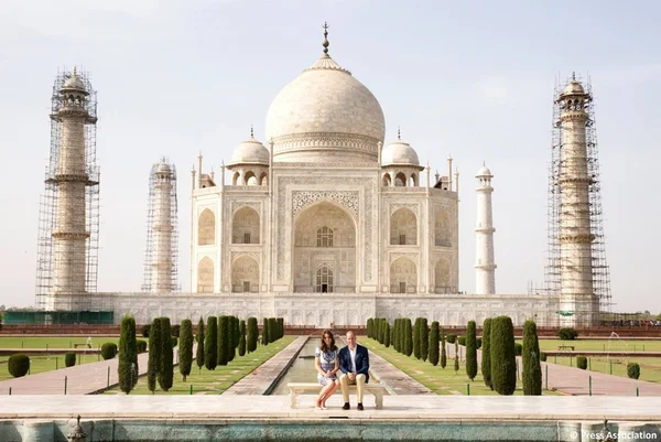 Fezes de insetos tingem Taj Mahal de verde