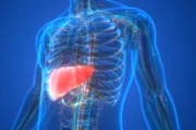 O fígado é o segundo órgão mais importante do corpo O fígado é o segundo órgão mais importante do corpo