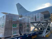 Novo grupo de brasileiros repatriados de Gaza deve chegar no sábado - imagem 3 Novo grupo de brasileiros repatriados de Gaza deve chegar no sábado - imagem 3