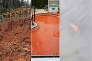 Carpa teria morrido após o muro desabar