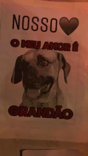 Cachorro perdeu 30 quilos em três meses