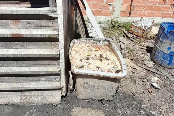 “Comia do que vinha para os bichos”, diz pedreiro resgatado em curral