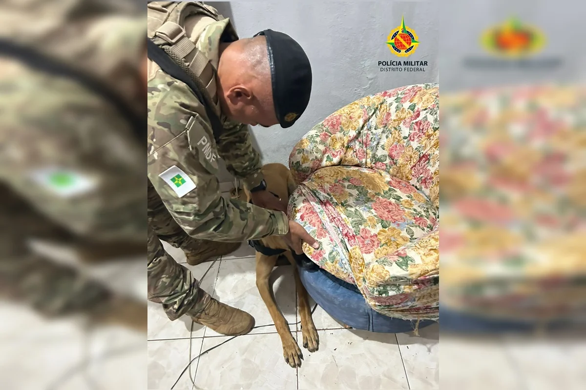 Mulher é presa com porções de maconha escondidas em poltrona no DF 1 droga escondida poltrona df