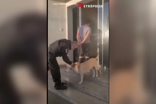 Reação de policial ao se deparar com cachorro durante prisão viraliza