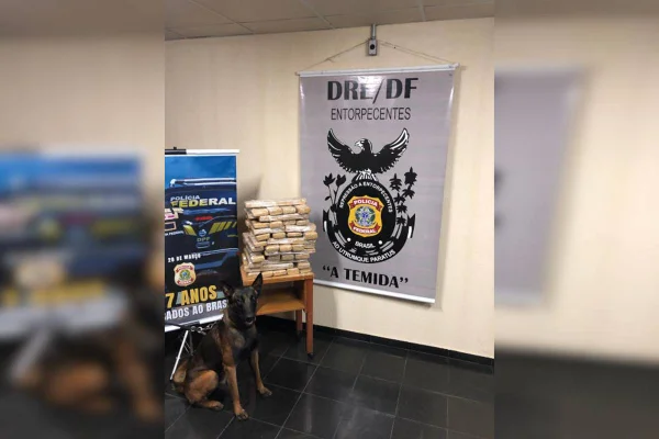 Cão farejador