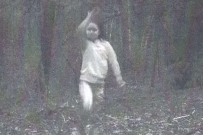 Suposto espírito aparece em foto no meio do bosque e assusta moradores Suposto espírito aparece em foto no meio do bosque e assusta moradores