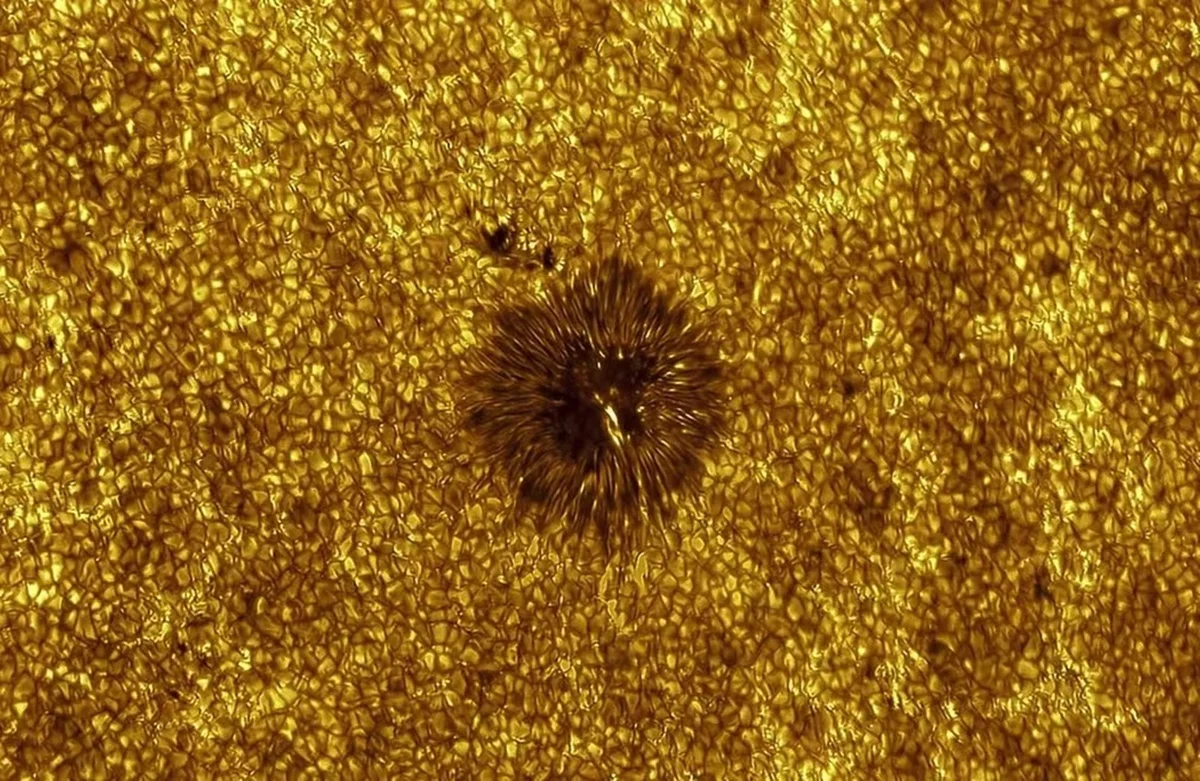 Vencedor da categoria Sol: "Active Region 4122" Vencedor da categoria Sol: "Active Region 4122"