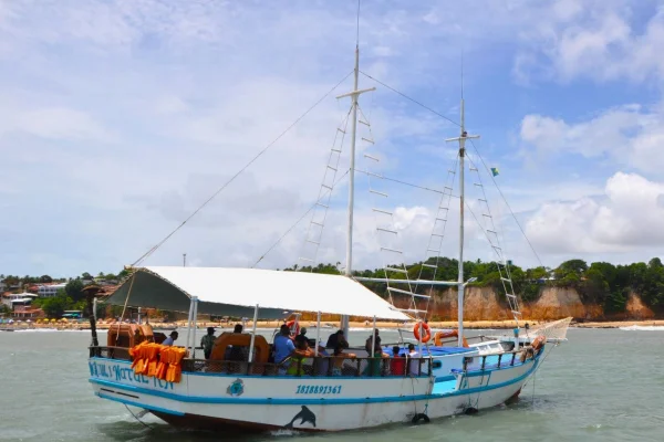 Praia da Pipa limita passeios de barco para ver golfinhos; o que muda?