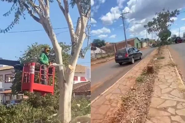 Pirenópolis corta árvores da “rua das cachoeiras” para fazer ciclovia