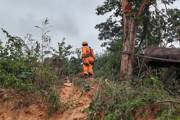 Homem morre ao ser atingido por árvore que estava cortando em MG