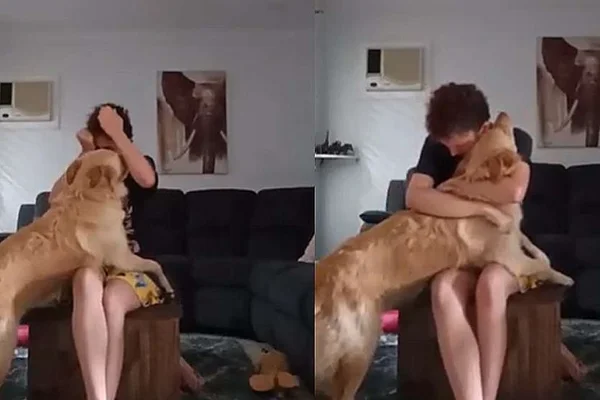 Muito fofo! Cachorro abraça dona autista durante crise de pânico