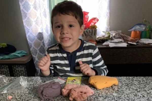 Menino de quatro anos morre após ser atacado por pit bull