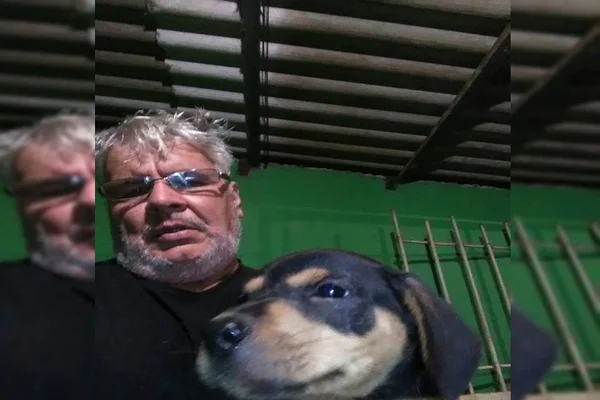 Após dono morrer atropelado, 10 cães ficam órfãos e precisam de um novo lar