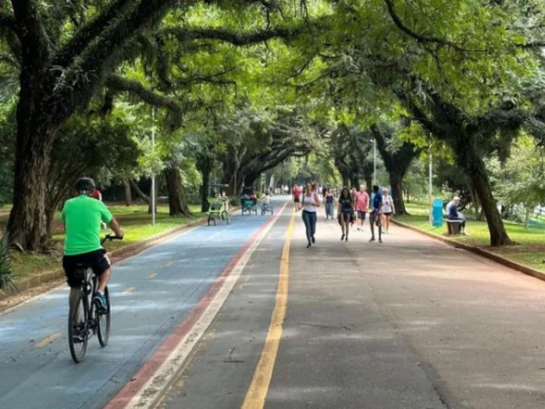 Foto colorida mostra alameda do Parque Ibirapuera, com ciclista pedalando na ciclofaixa e pedestres caminhando ao lado