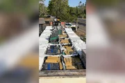 Quase 8 toneladas de maconha foram encontradas em carga de gesso