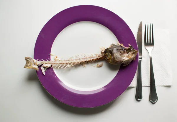 Foto mostra espinha de peixe disposta em prato com as bordas roxas - Metrópoles