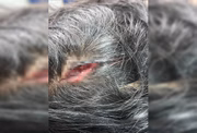 Cabeça da agredida teve um corte profundo