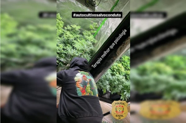 homem com plantação de maconha