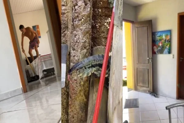 Imagem colorida de homem encima da cama e ao centro a imagem de um lagarto - Metrópoles