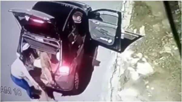 Vídeo: mulher é flagrada abandonando dois cães em Belo Horizonte
