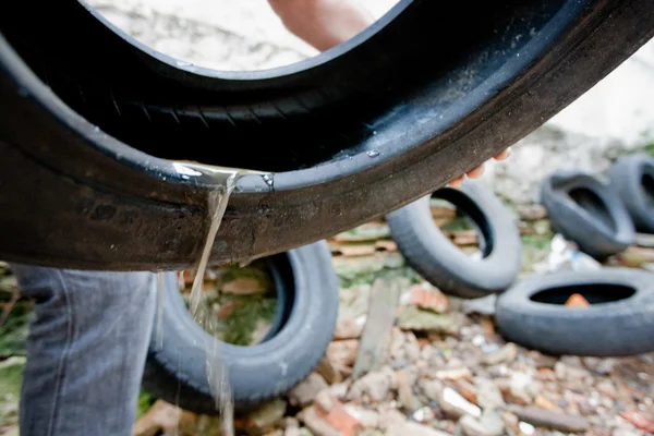 Moradores do DF que “hospedarem” Aedes aegypti serão multados em até R$ 2 milhões