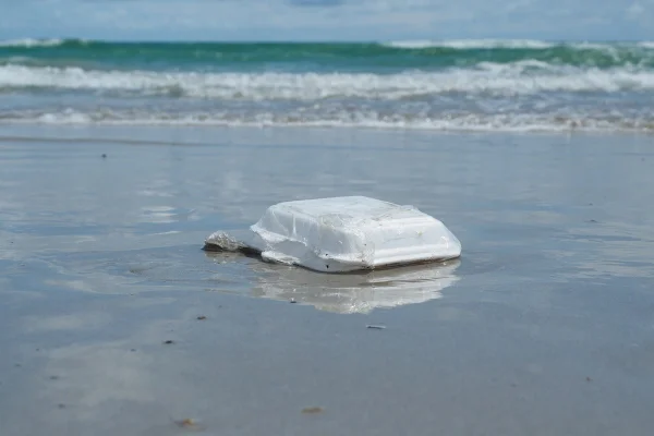 Imagem colorida de embalagem plástica de isopor (quentinha) em praia - Metrópoles