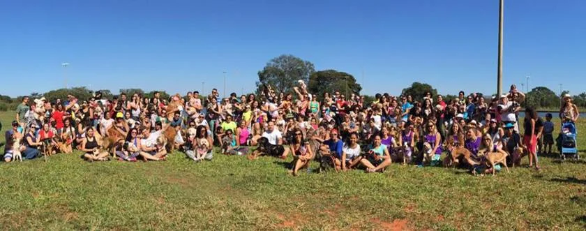 Última Cãominhada, realizada no Parque da Cidade Última Cãominhada, realizada no Parque da Cidade