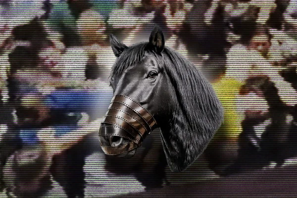 Dark Horse