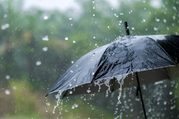 Imagem colorida de guarda-chuva em meio a chuva - Metrópoles